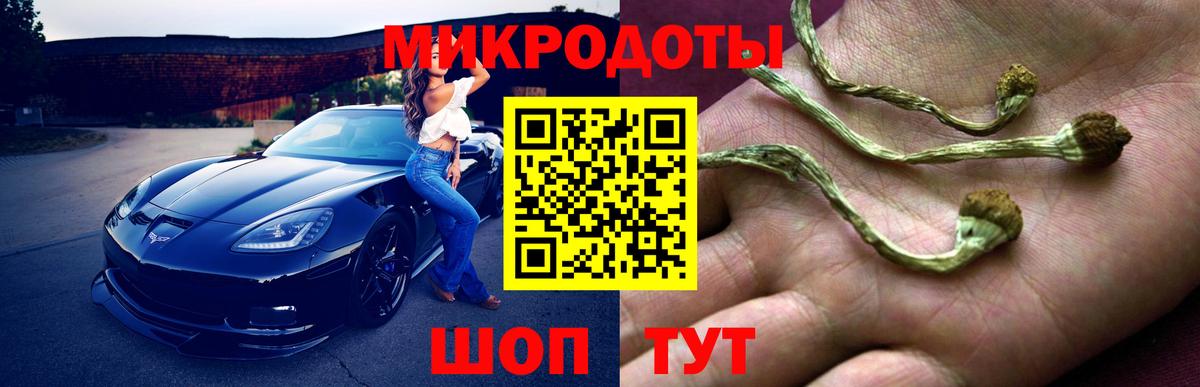 Ейск  Псилоцибиновые грибы Psilocybe  Вход с VPN  Псилоцибиновые грибы прущие грибы 